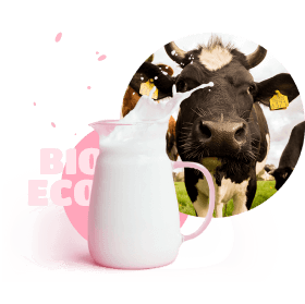 a carafe of milk and a cow